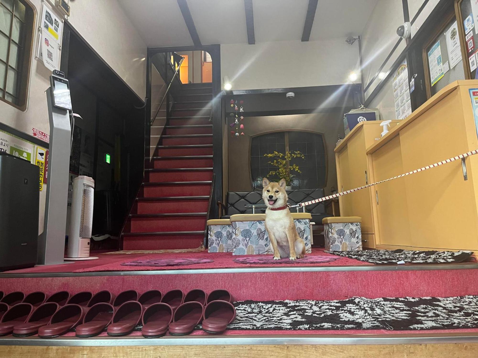 Yamamoto Ryokan Fukuoka  Exteriör bild